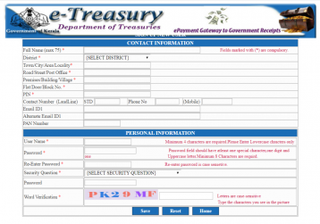 E-TREASURY SERVICES